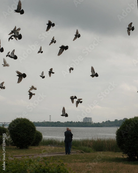 Fototapeta A view of a flock of pigeons taking flight against a gray sky. In the foreground is a couple standing with their backs to the viewer, watching the birds on a riverbank.