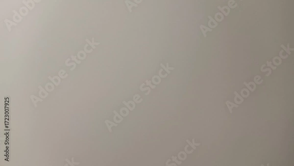 Fototapeta Light Grey Beige Solid Background