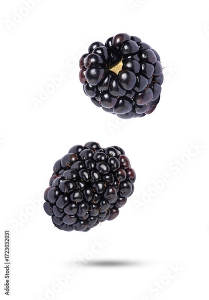 Obraz blackberry isolated on white background