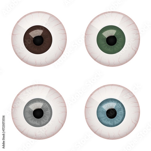 Fototapeta Set of Human Eyeball Anatomy Vector Illustrations. Different Eye Colors
