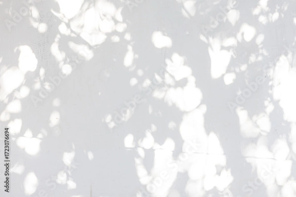 Fototapeta Tree shadow and light of leaf branch background. Nature leaves tropical jungle tree branch dark shadows and light from sunlight on wall texture for background wallpaper design, shadow overlay effect 