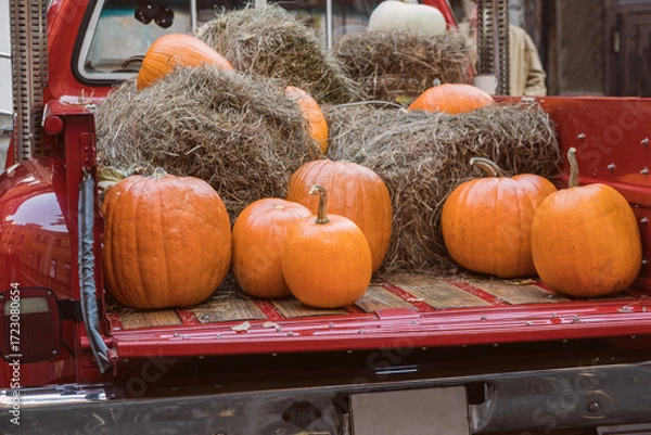 Fototapeta A red pickup truck loaded with pumpkins and haystacks. Pumpkins in the trunk of the car. The concept of farming, harvesting, Halloween