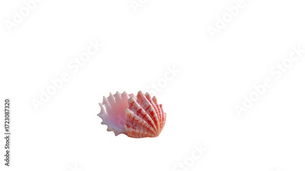 Fototapeta Shell's Delicate Beauty: A captivating close-up showcases the intricate beauty of a delicate seashell, highlighting its elegant patterns and textures in stunning detail. 