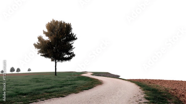 Fototapeta Winding Path to Solitude: A lone tree stands sentinel along a meandering path, inviting exploration, amidst the serene vastness of nature.