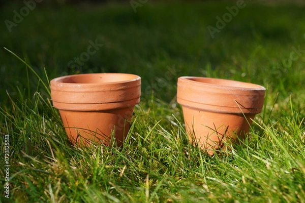 Fototapeta empty clay flower pots on garden lawn ready to be planted. 