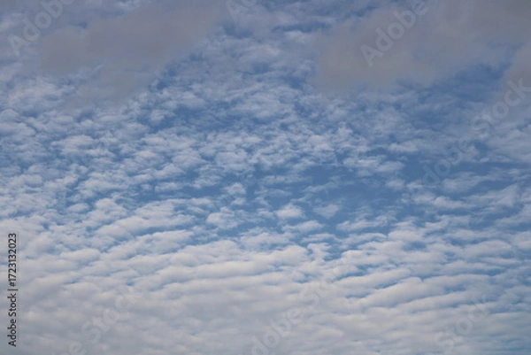 Fototapeta 秋の空　雲　風景