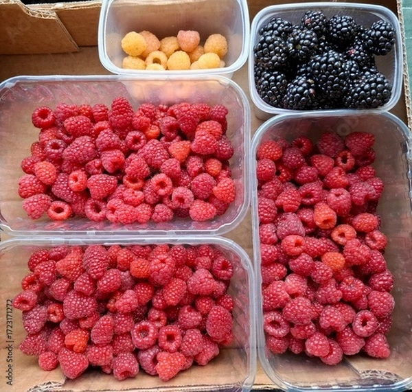 Fototapeta raspberries and blueberries