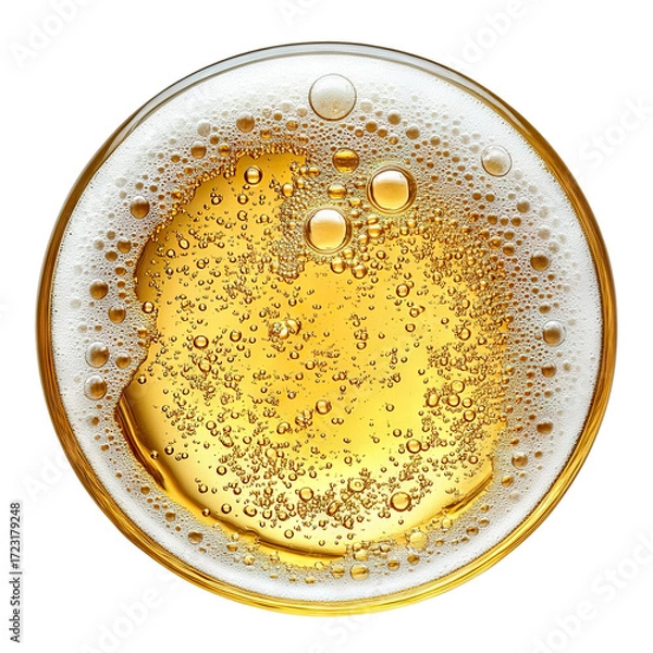 Fototapeta Top view of foamy beer with golden bubbles, isolated on transparent cutout background