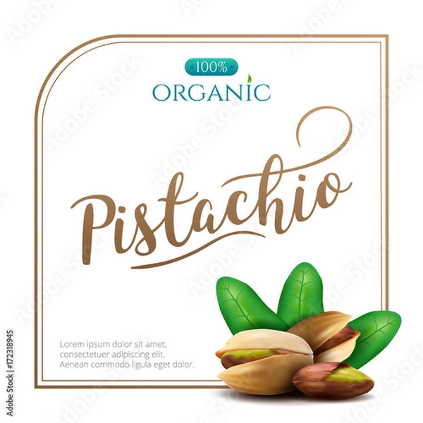 Obraz Vector frame of realistic pistachio with leaves isolated on white background. Square frame for packaging design with place for your text and logo