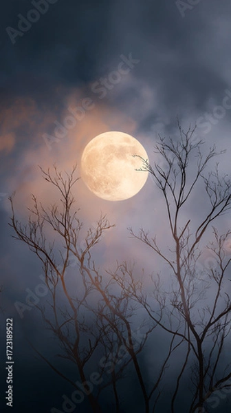 Fototapeta Large Full Moon Illuminating Dark Cloudy Sky with Bare Tree Branches in Silhouette Against Nighttime Horizon