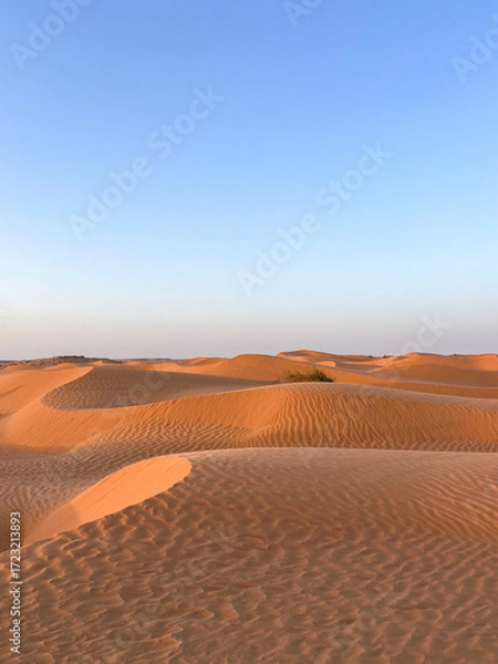 Fototapeta Golden sand dunes stretch endlessly across the landscape in Douz, Tunisia, reflecting the warm light of the sun. The serene desert scene captivates with its natural beauty.