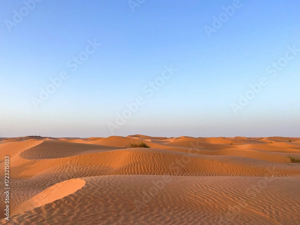 Fototapeta Golden sand dunes stretch endlessly across the landscape in Douz, Tunisia, reflecting the warm light of the sun. The serene desert scene captivates with its natural beauty.
