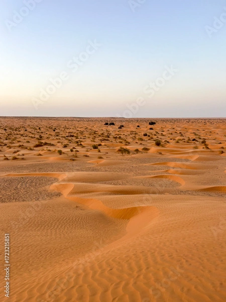 Fototapeta Golden sand dunes stretch endlessly across the landscape in Douz, Tunisia, reflecting the warm light of the sun. The serene desert scene captivates with its natural beauty.