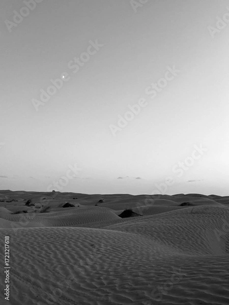Fototapeta Golden sand dunes stretch endlessly across the landscape in Douz, Tunisia, reflecting the warm light of the sun. The serene desert scene captivates with its natural beauty.