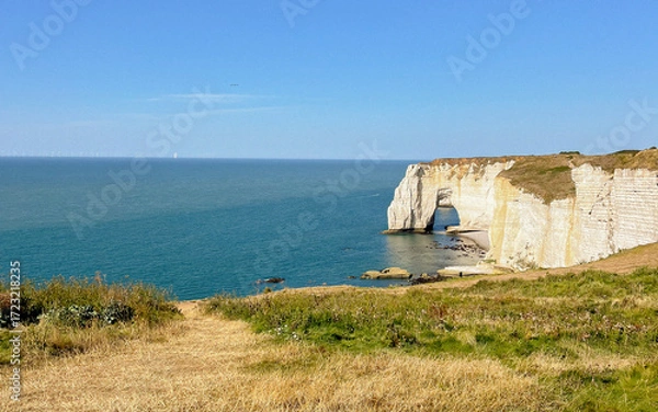 Fototapeta Visitors admire the stunning Etretat cliffs towering over the tranquil sea, with sunlight reflecting off the water and the lush greenery in the foreground.