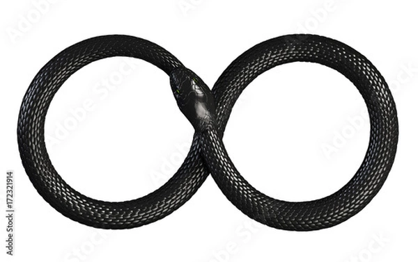 Obraz Wąż pożerający własny ogon. Symbol nieskończoności. Ilustracja 3D