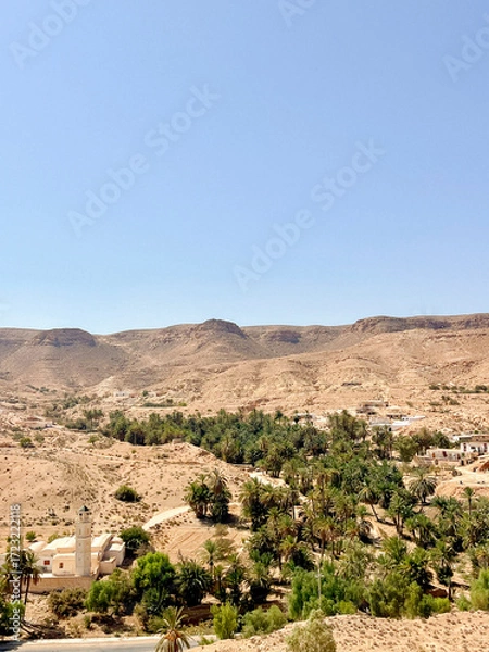 Fototapeta The scene captures a vast desert oasis in Tunisia, featuring vibrant palm trees and a distant mountain range under a clear blue sky. The tranquility of the landscape is inviting.
