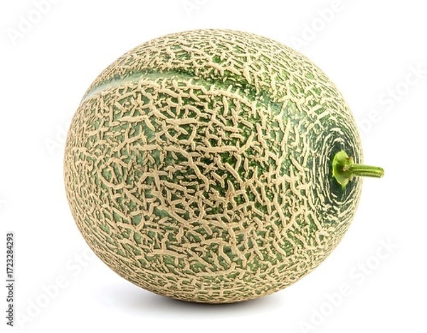 Fototapeta Single cantaloupe, whole, side view