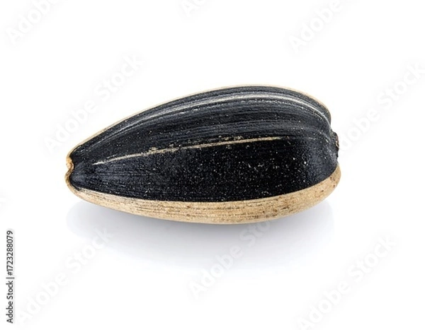 Fototapeta Single sunflower seed, close-up