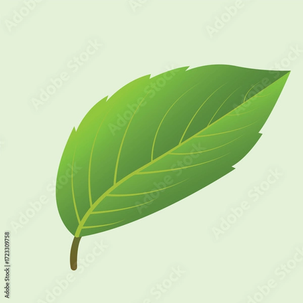 Obraz Realstic Naturel Leaf Vector Line Art Illustration