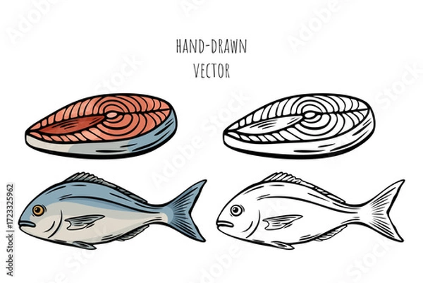 Fototapeta Hand-drawn fish and steak set engraving vector coloring page