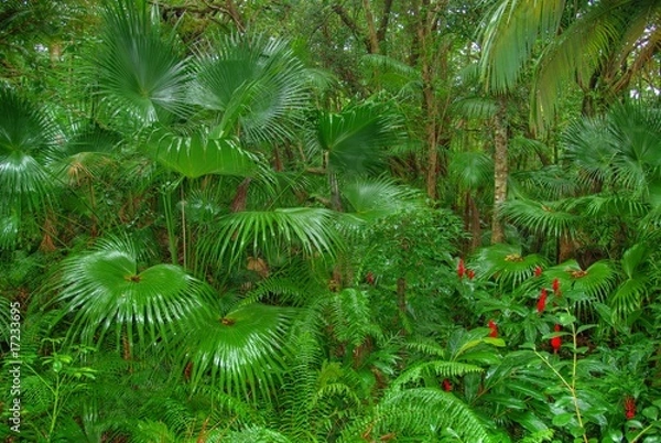 Fototapeta ogród Botaniczny