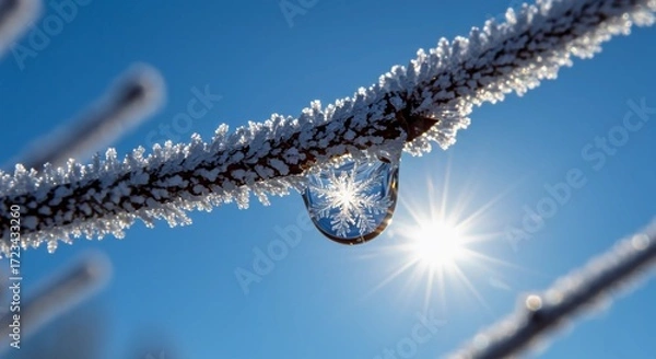 Fototapeta Snowflake in Water Drop on Frozen Branch Against Blue Sky