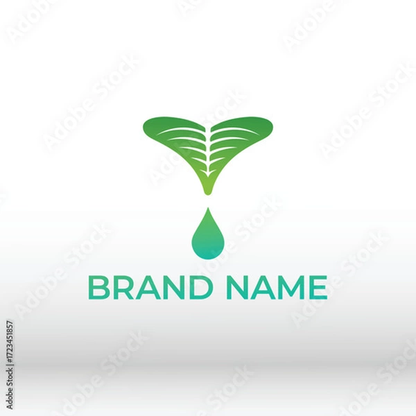 Fototapeta Leaf and Droplet Logo