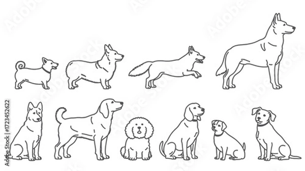 Fototapeta Collection of diverse dog breed outlines in a simple clean silhouette style showcasing various poses and sizes silhouette