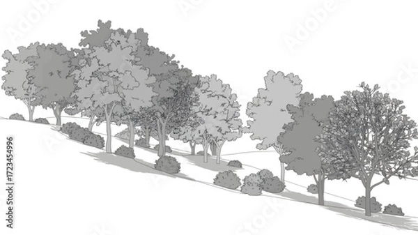 Fototapeta A detailed black and white sketch of a row of various deciduous trees and shrubs on a gentle slope in silhouette