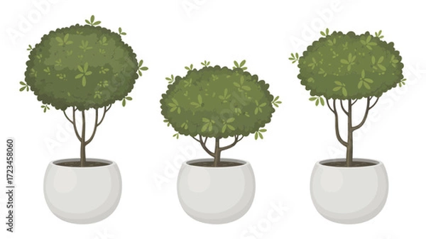 Fototapeta Three perfectly shaped green topiary trees in white pots creating a symmetrical decorative element silhouette