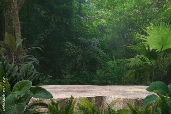 Fototapeta Wood stump podium stand with green tropical forest nature background.natural product pedestal wooden table top display.jungle paradise concept.