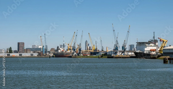 Fototapeta Port of Rotterdam, Netherlands. Cargo ships and cranes loading, Logistics business