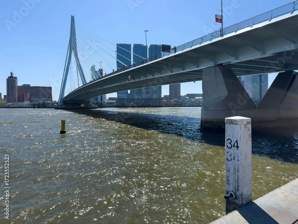 Fototapeta Rotterdam city Erasmus bridge and modern architecture towers, Netherlands