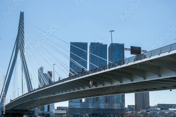 Fototapeta Rotterdam city Erasmus bridge and modern architecture towers, Netherlands