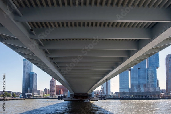 Fototapeta Rotterdam city Erasmus bridge and modern architecture towers, Netherlands