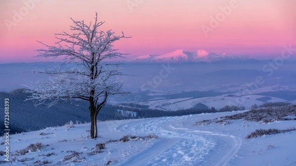 Fototapeta Magical Winter Twilight Landscape Frost Covered Tree Snowy Path Mountain Range Background Pink Purple Sky Cold Serene Nature Photography Calm Scene