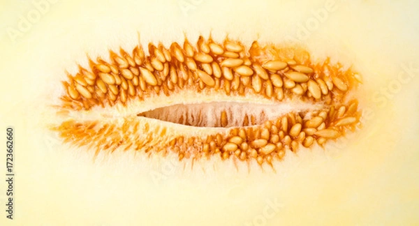 Obraz Melon Slice Pulp and Seeds close up