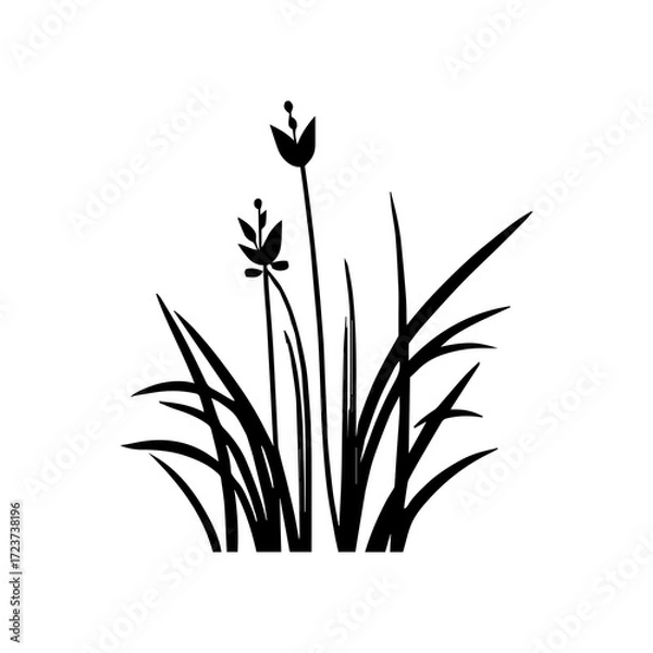 Fototapeta Monochrome image of plant. Isolated vector image. Floral design element