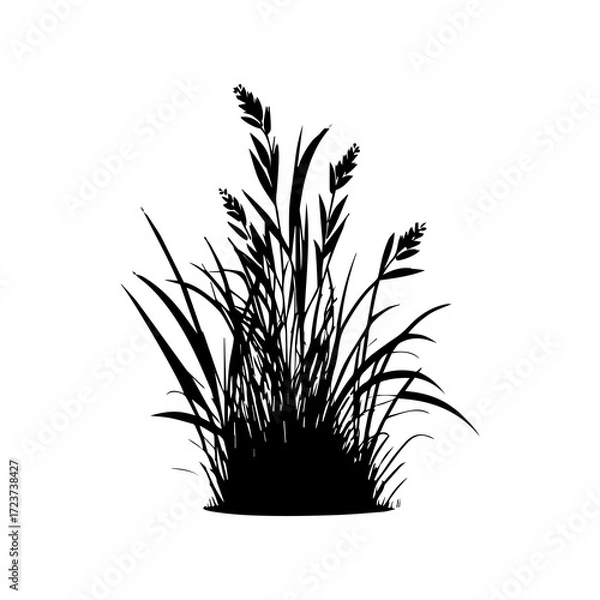 Fototapeta Monochrome image of plant. Isolated vector image. Floral design element