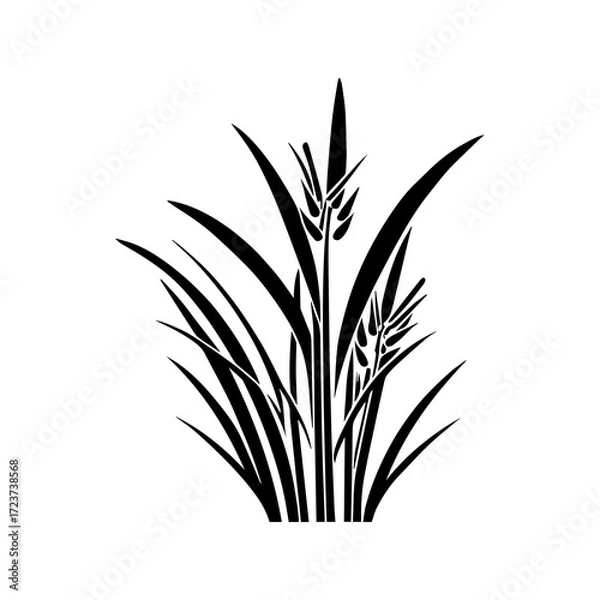 Fototapeta Monochrome image of plant. Isolated vector image. Floral design element