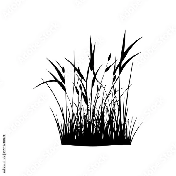 Fototapeta Monochrome image of plant. Isolated vector image. Floral design element