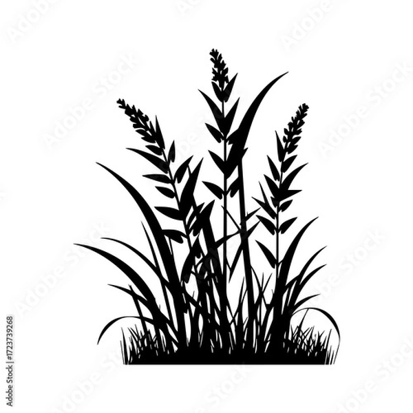 Fototapeta Monochrome image of plant. Isolated vector image. Floral design element