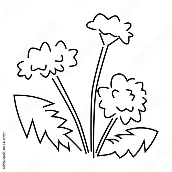 Fototapeta 線画のタンポポ