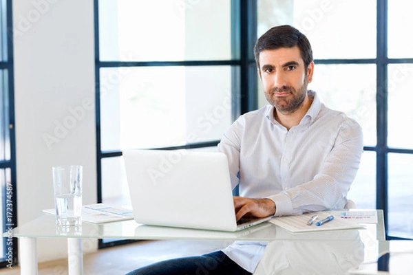 Obraz Handsome businessman working at computer