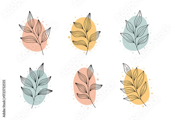 Fototapeta Abstract minimalist botanical leaf shapes on pastel backgrounds.