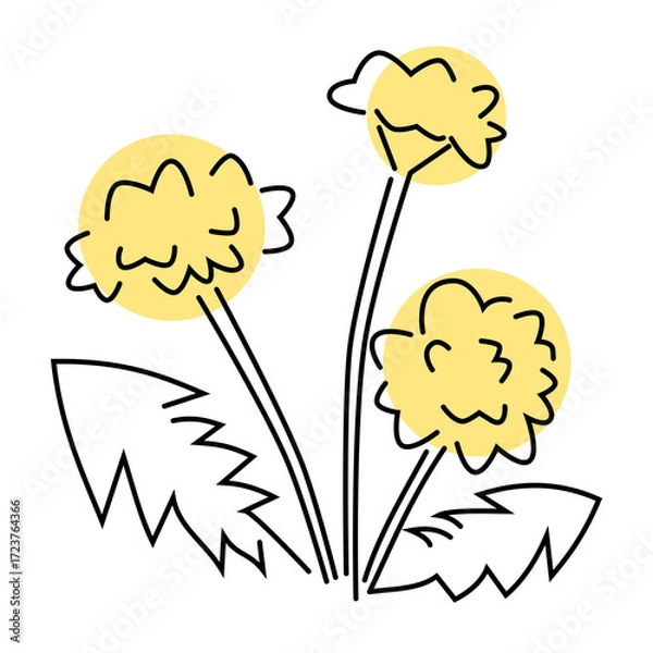 Fototapeta たんぽぽ