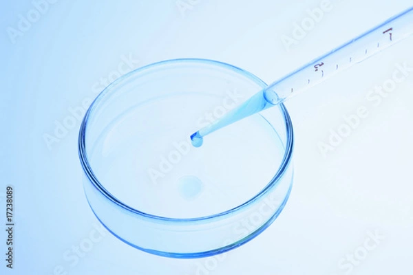 Fototapeta シャーレとスポイド