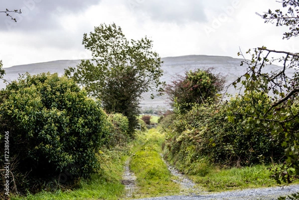 Obraz landscape with trees and clouds
