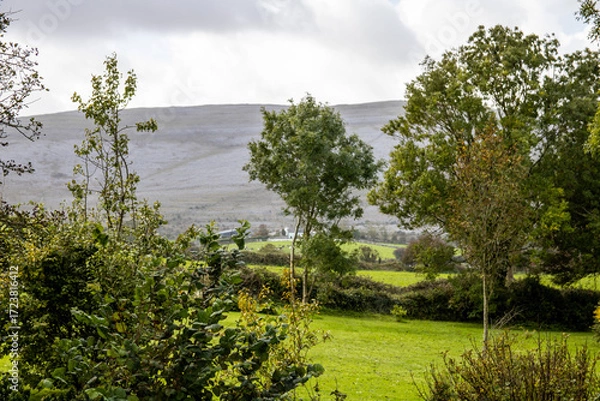 Obraz Irish landscape